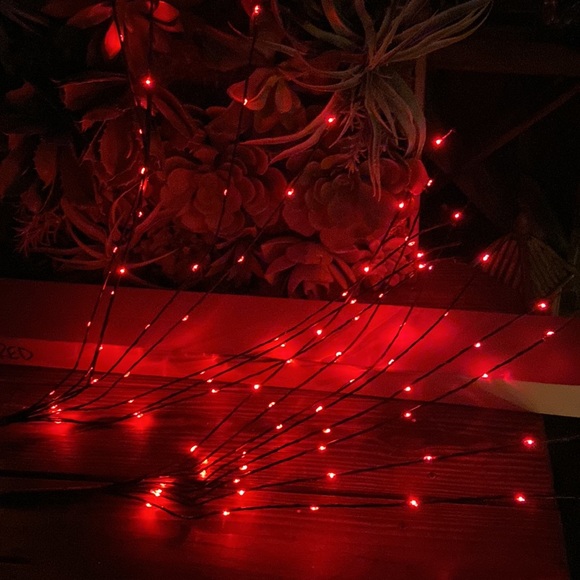 Pottery Barn LED Lit Firework Cascade Branch in Bright Red with Timer - Picture 9 of 17
